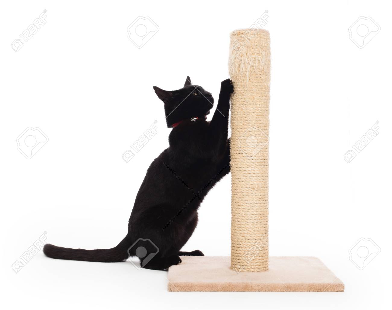 black scratching post