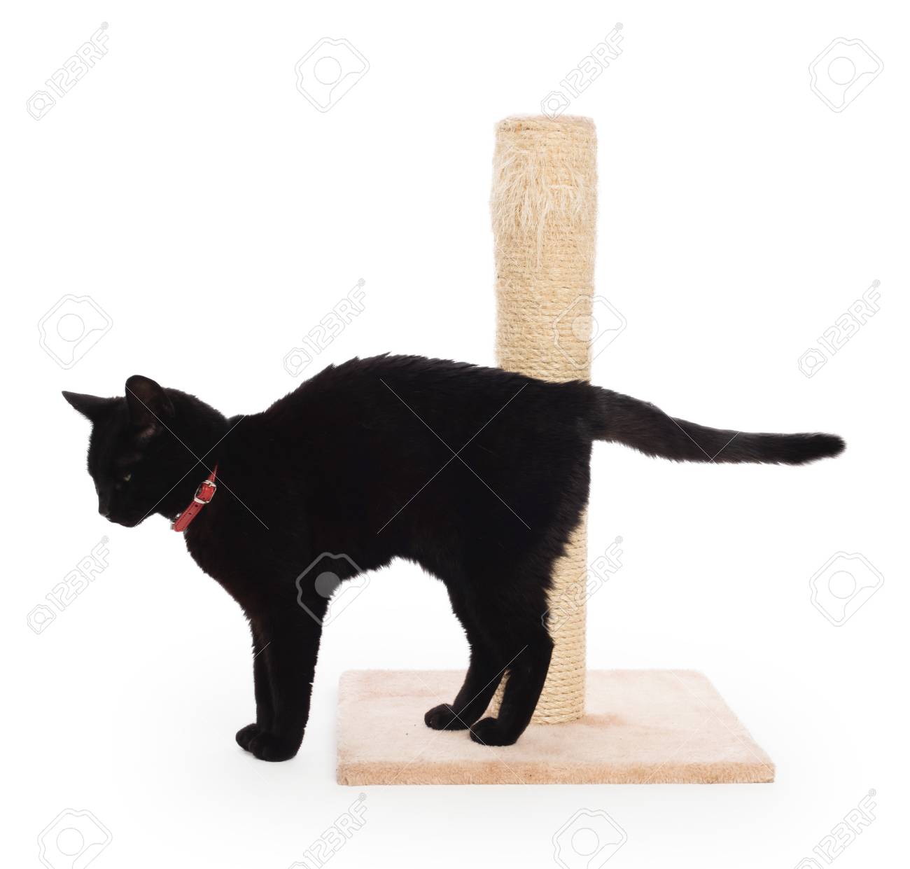 black scratching post