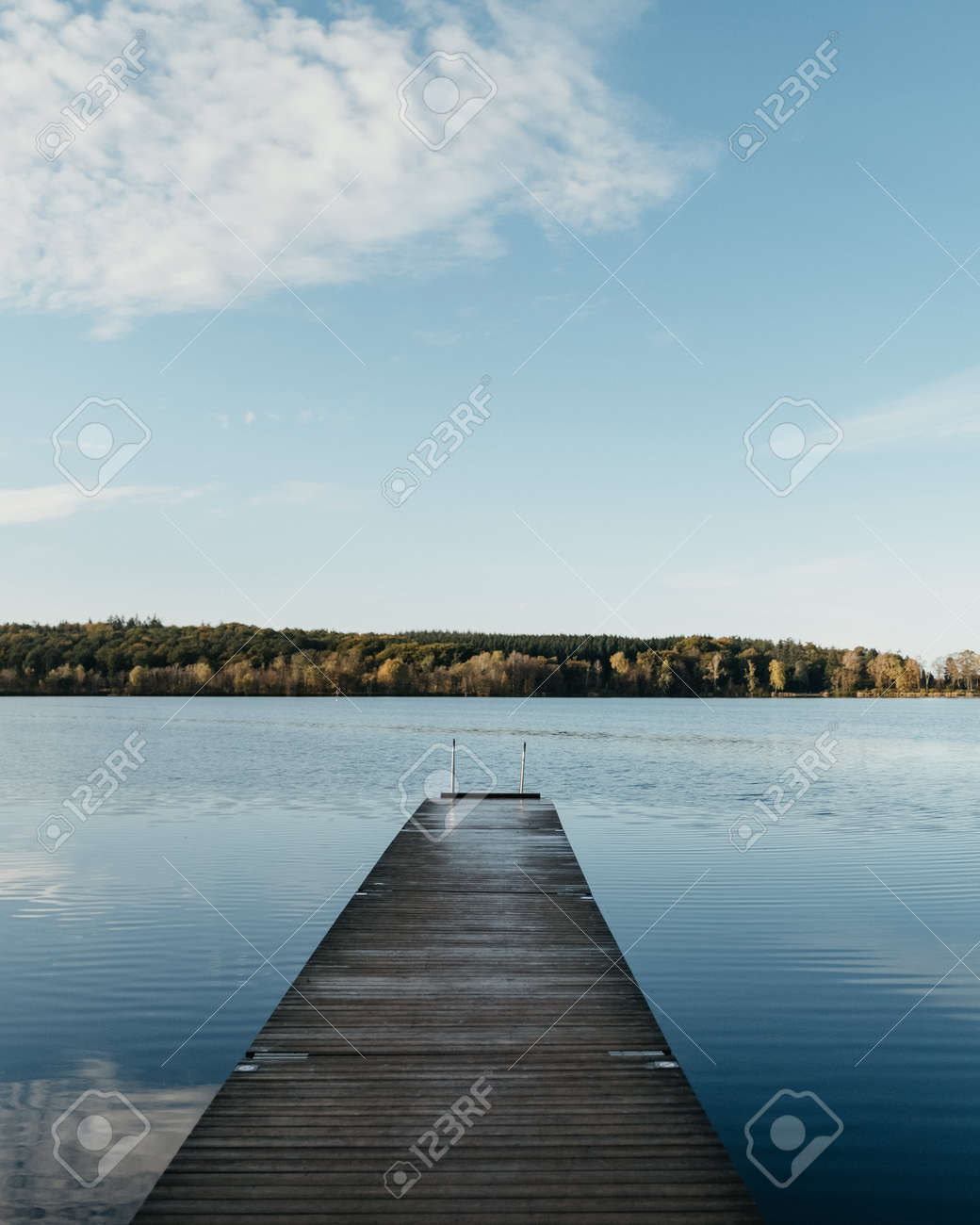 etiam-dictum-ipsum-a-felis