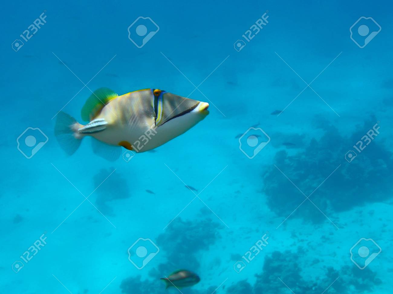 etiam-dictum-ipsum-a-felis