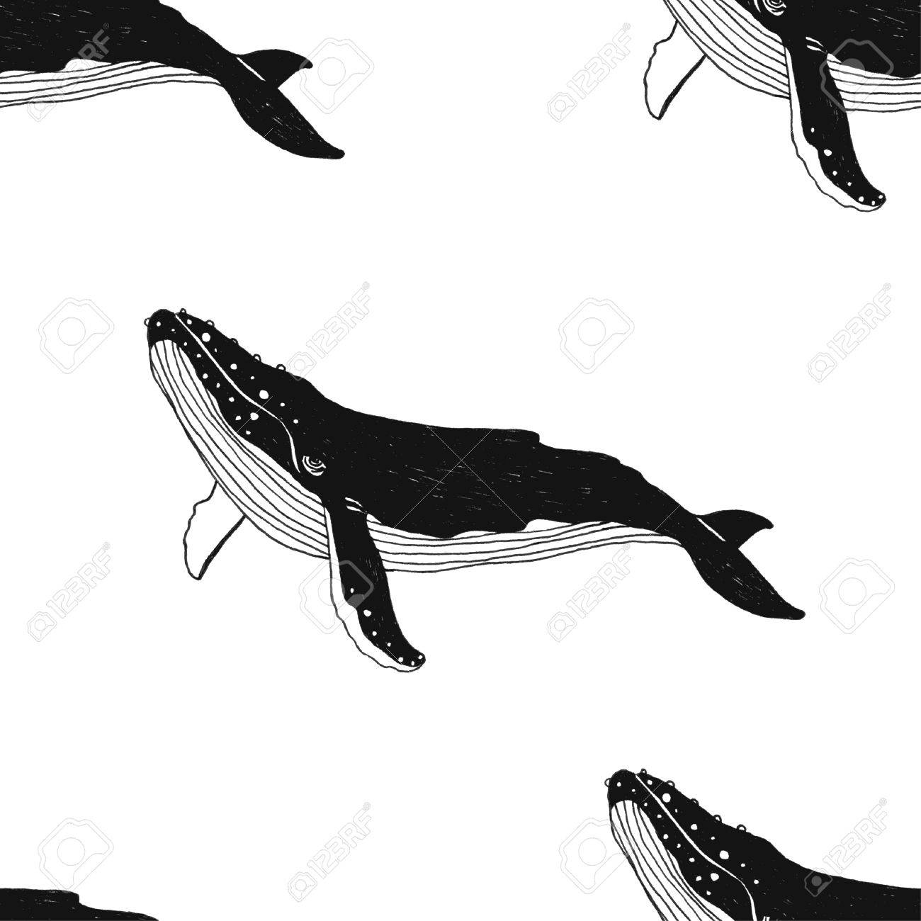 手描きイラスト クジラとシームレスなパターンをベクトル 黒輪郭作品白い背景に分離されました のイラスト素材 ベクタ Image