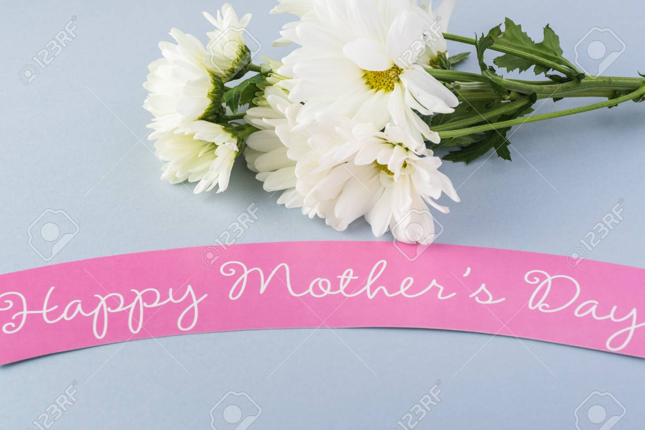 Greeting Card With White Chrysanthemums For Mothers Day Stock Photo Picture And Royalty Free Image Image 96154601 greeting card with white chrysanthemums for mothers day stock photo picture and royalty free image image 96154601
