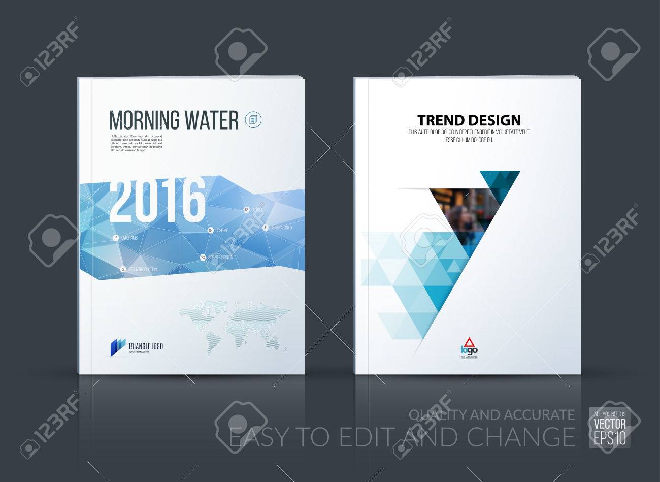 brochure template layout cover design annual report magazine flyer idea
