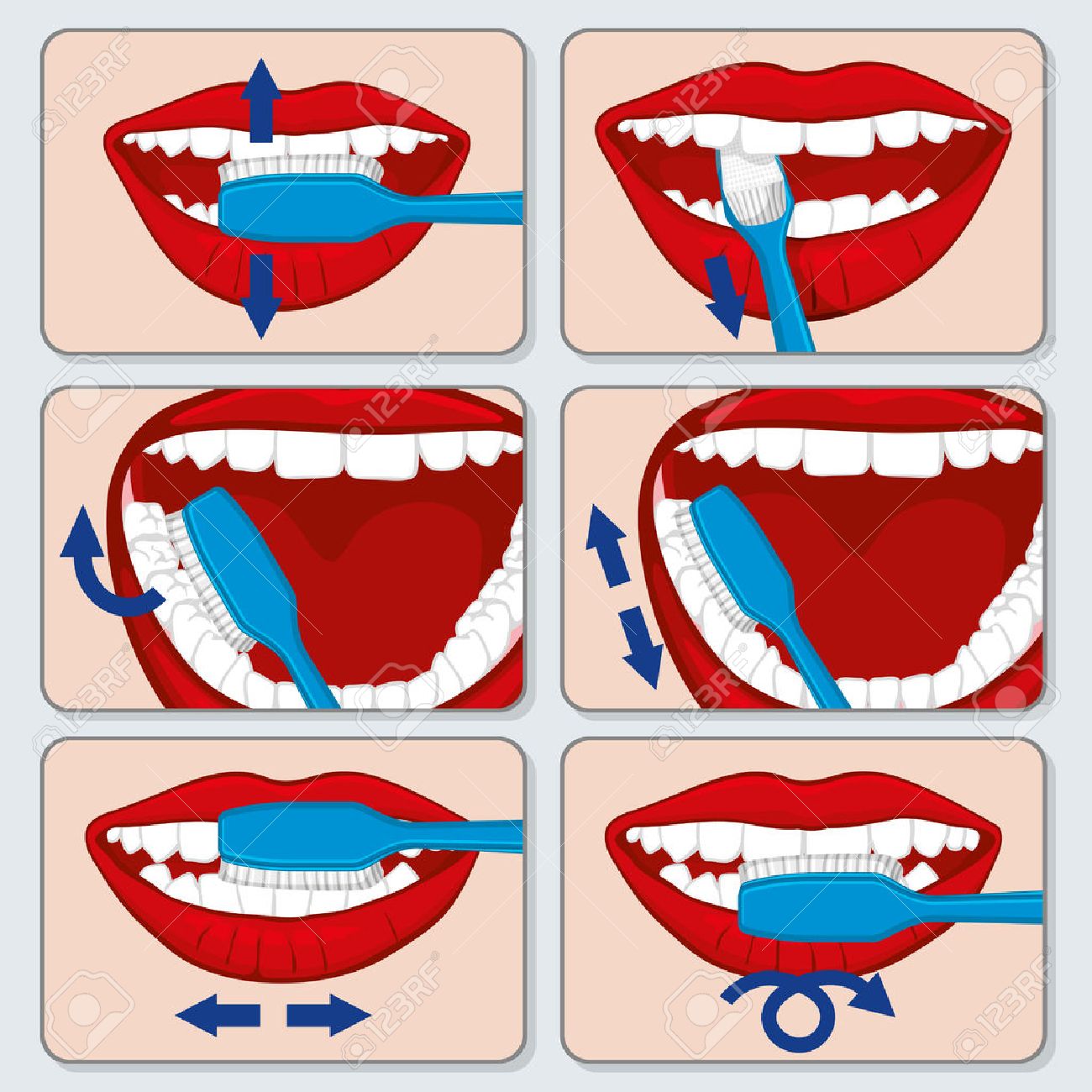 Cepillado Dental Correcto De La Infografia Vector Dental