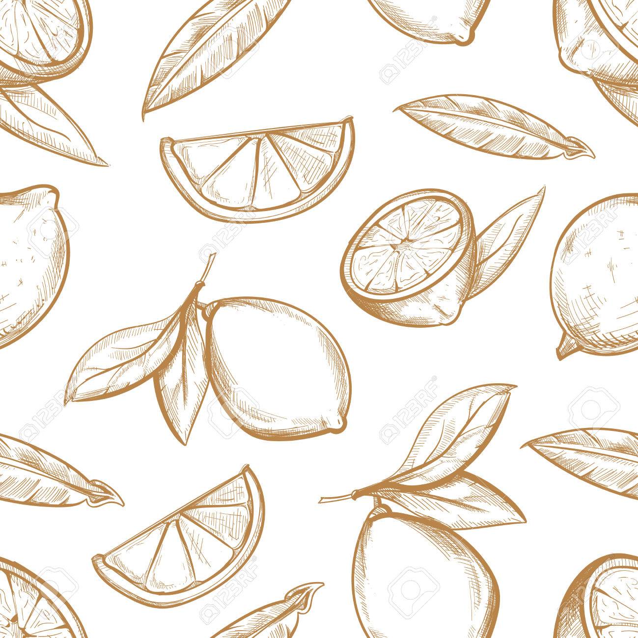 支店 レモンの花 シトラス スライスの葉とレモンを手描きでシームレスなパターンをベクトルします 酸っぱい果物イラスト背景をスケッチします のイラスト素材 ベクタ Image