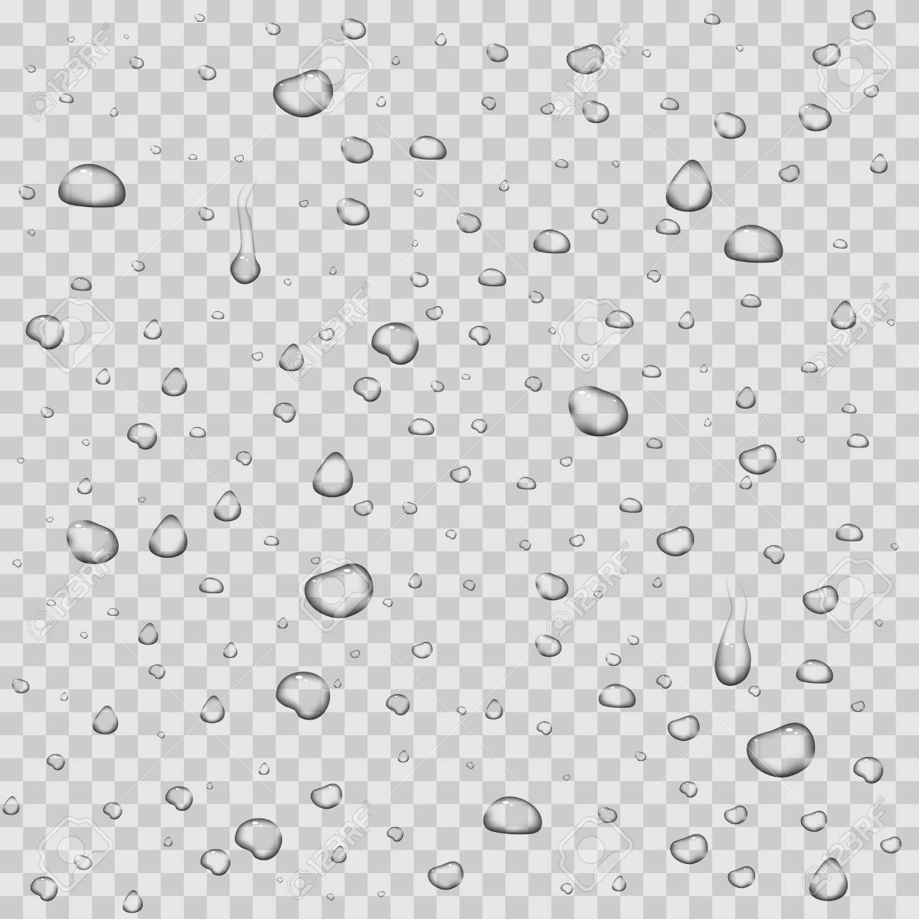realistic vector water drops transparent background clean drop