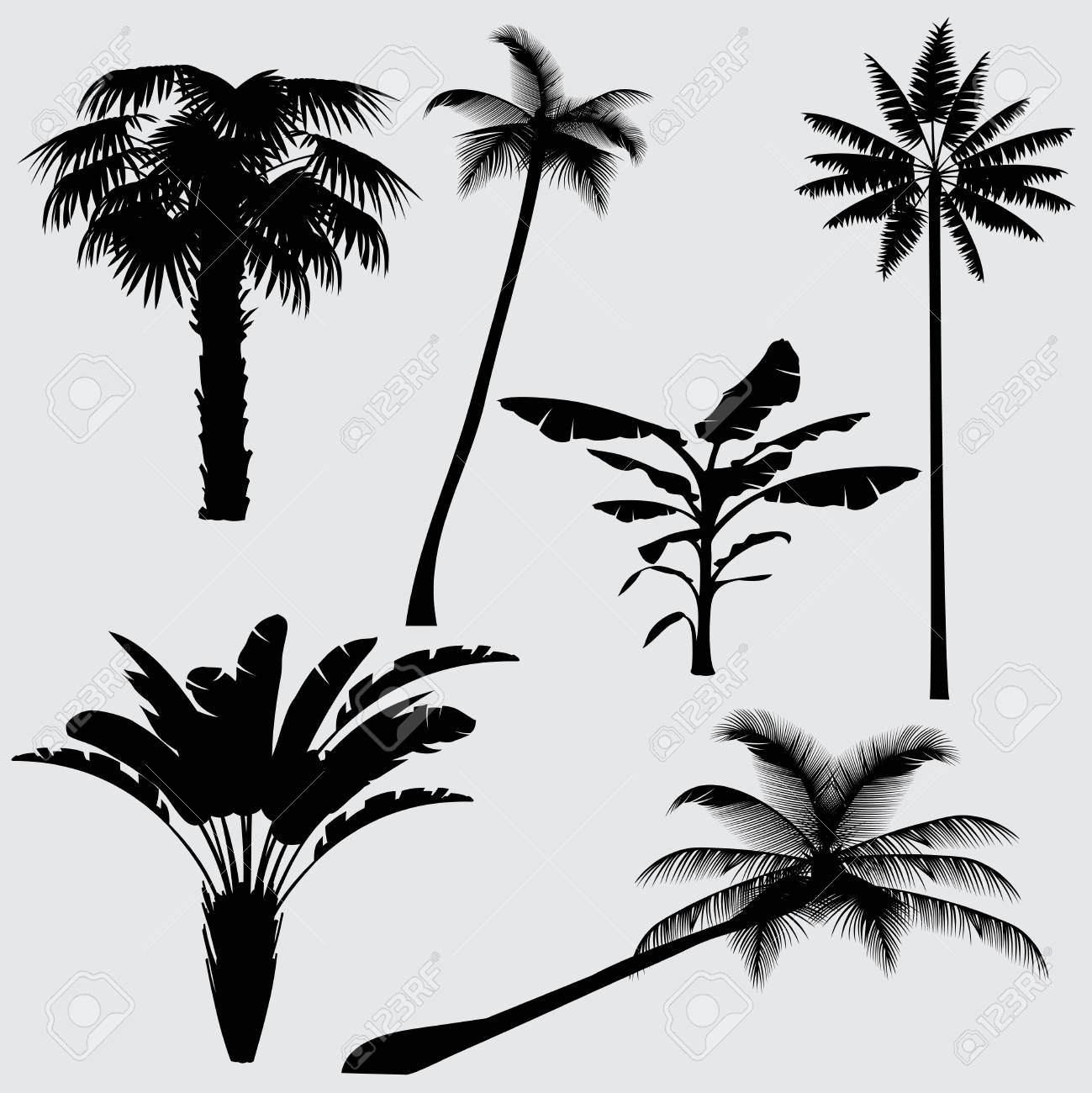 Silhouettes De Palmiers Tropicaux Isoles Sur Fond Blanc Silhouette Noire De Palmier Illustration De Cocotier Clip Art Libres De Droits Vecteurs Et Illustration Image