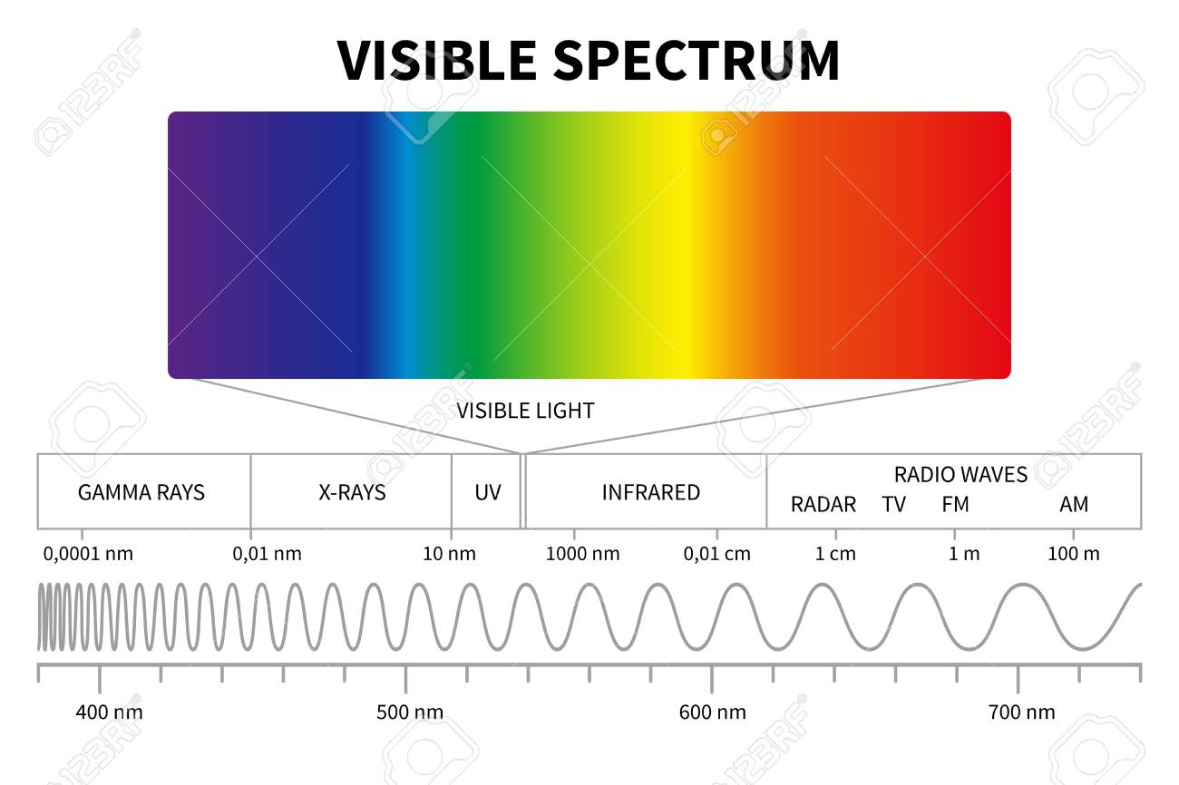 Visible Light Diagram. Color Electromagnetic Spectrum, Light Wave  Frequency. Educational School Physics Vector Background. Illustration Of  Spectrum Diagram Rainbow, Infrared And Electromagnetic Royalty Free SVG,  Cliparts, Vectors, and Stock ...
