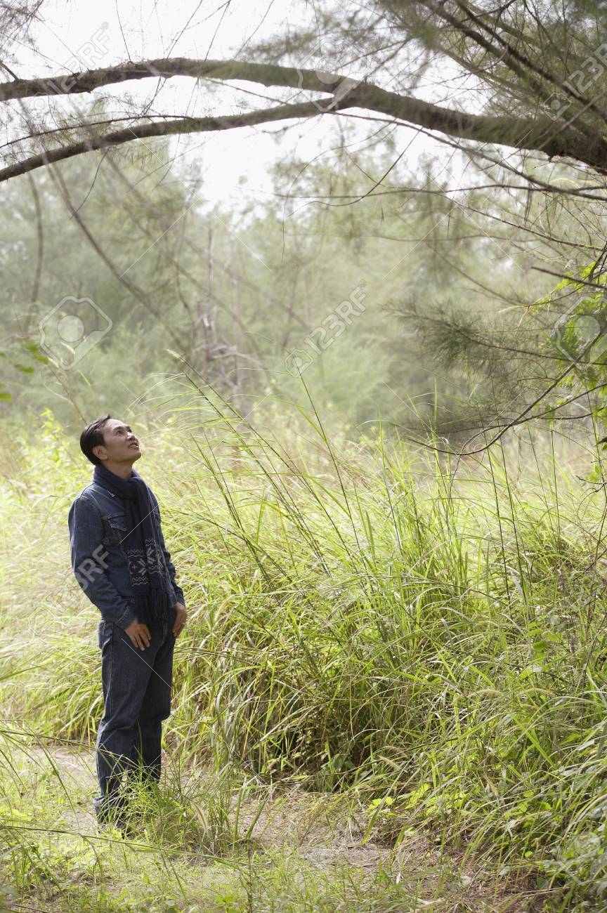 Hombre Caminando Por La Naturaleza, Mirando El Árbol, Al Aire Libre Fotos, retratos, imágenes y fotografía de archivo libres de derecho. Image 69406158