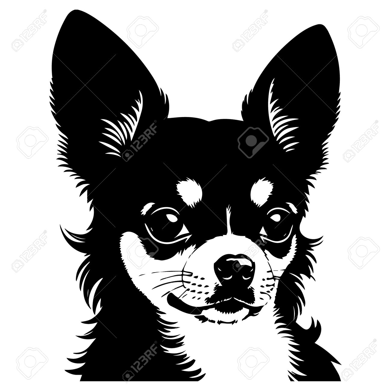チワワ犬の頭。デザインのベクターイラスト。のイラスト素材