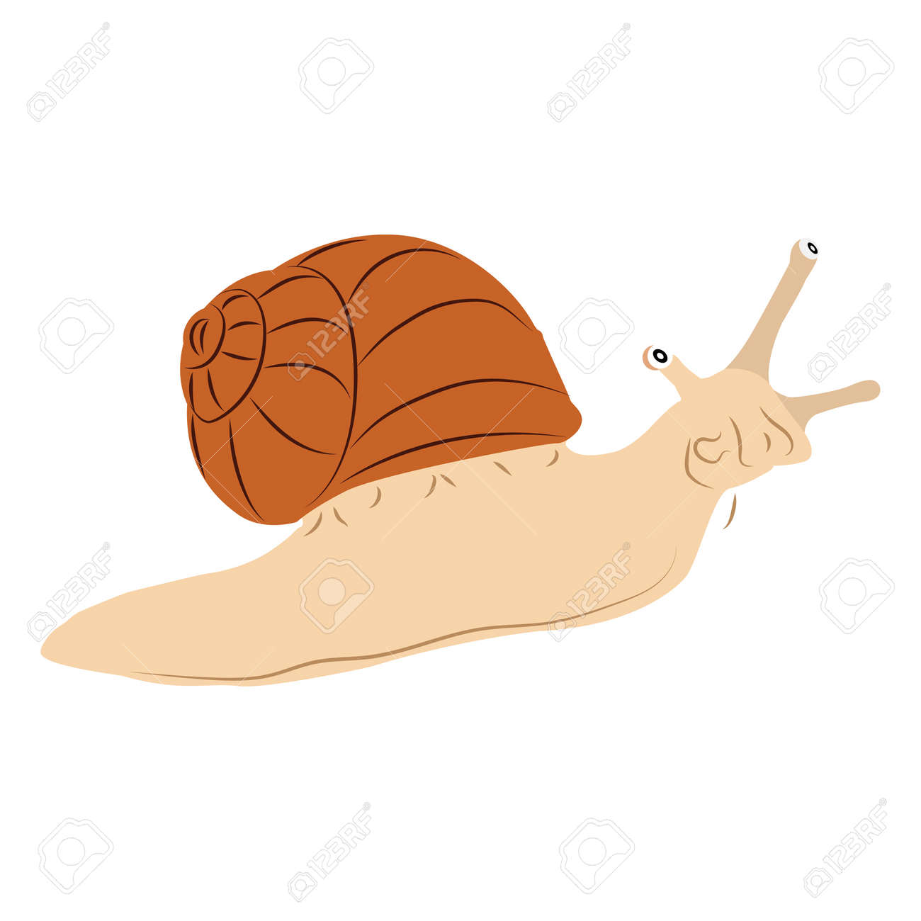 Snail Isolated On Transparent Background. Cartoon Snail Royalty Free SVG, Cliparts, Vectors, And Stock Illustration. Image 158622526. Snail Isolated On Transparent Background. Cartoon Snail Royalty Free SVG, Cliparts, Vectors, And Stock Illustration. Image 158622526.
