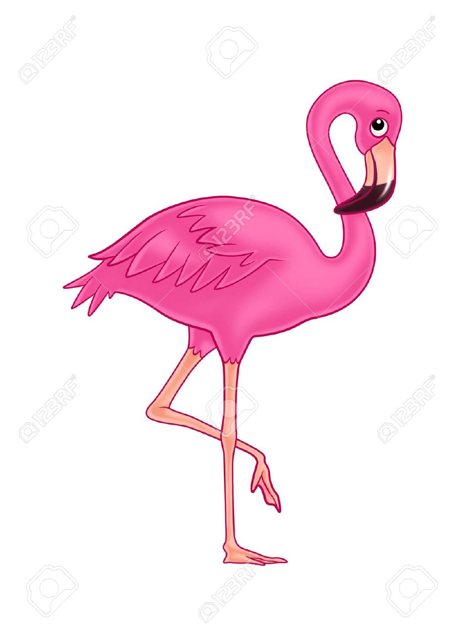 flamingo stock photo picture