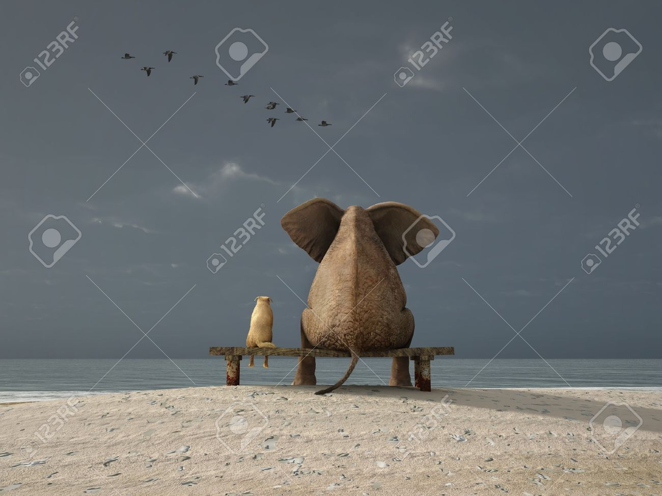 elephant and dog sit on a deserted beach - 11936795 elephant and dog sit on a deserted beach - 11936795