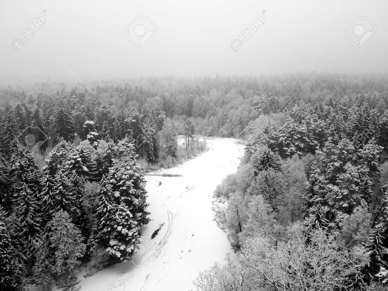 Winter forest with snowy trees, aerial view. Winter nature, aerial landscape with frozen river, trees covered white snow. Black and white photography - 171676192 Winter forest with snowy trees, aerial view. Winter nature, aerial landscape with frozen river, trees covered white snow. Black and white photography - 171676192