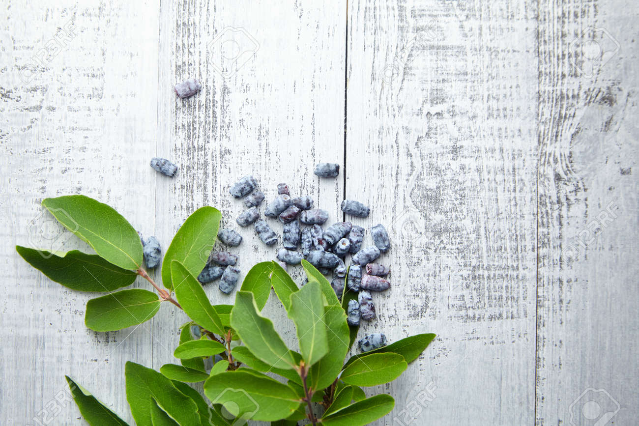 Honeyberry (Lonicera caerulea) on gray wooden background, top view. Heap of sweetberry honeysuckle (Haskap berry) with fresh green leaves - 171676218 Honeyberry (Lonicera caerulea) on gray wooden background, top view. Heap of sweetberry honeysuckle (Haskap berry) with fresh green leaves - 171676218