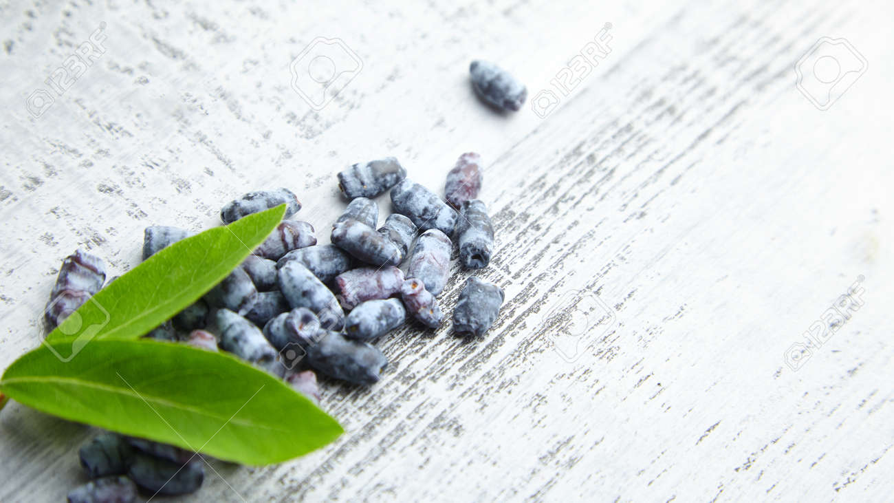 Honeyberry (Lonicera caerulea) on gray wooden background. Heap of sweetberry honeysuckle (Haskap berry) with fresh green leaves - 171676219 Honeyberry (Lonicera caerulea) on gray wooden background. Heap of sweetberry honeysuckle (Haskap berry) with fresh green leaves - 171676219