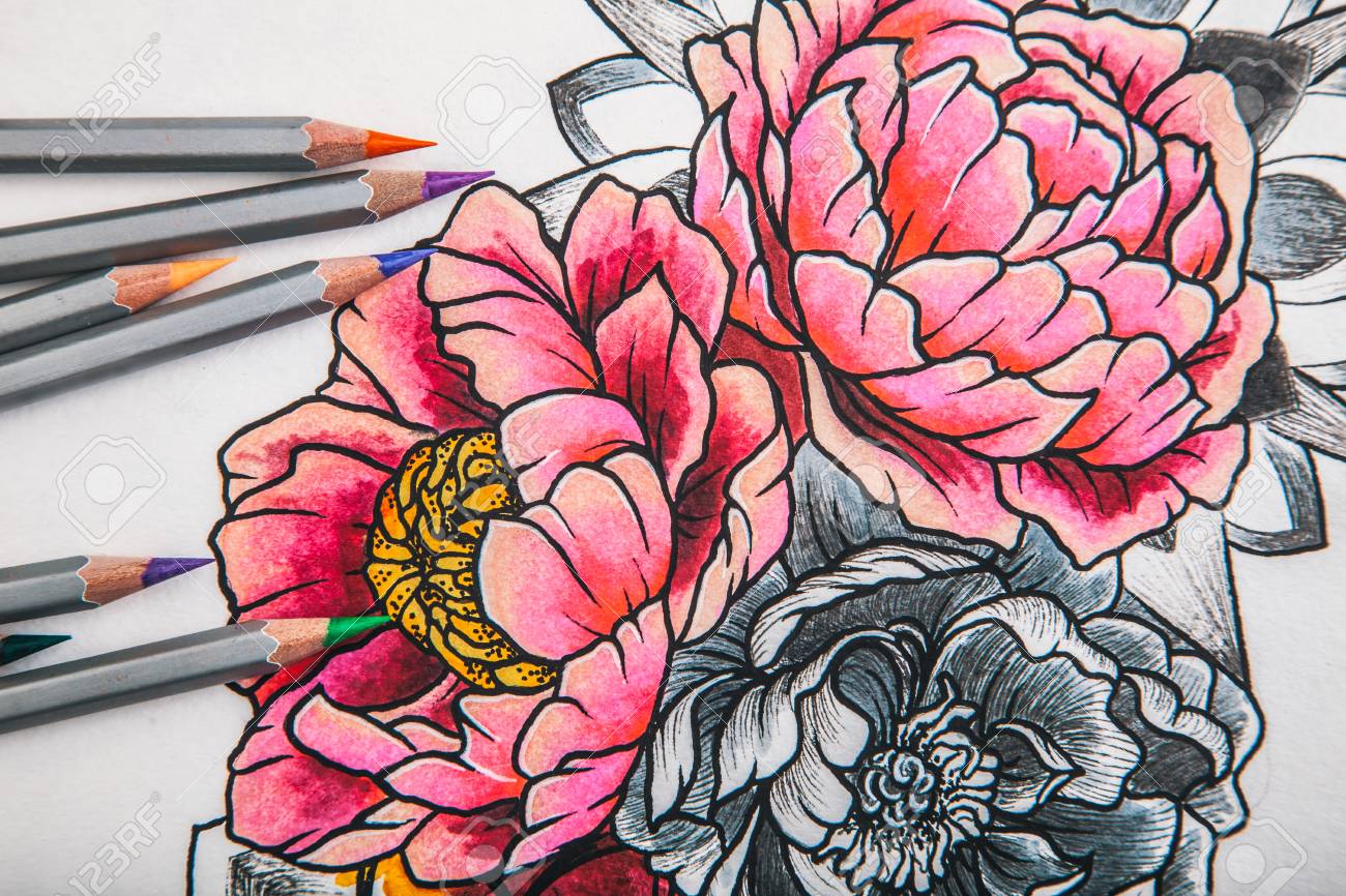 Schone Skizze Zeichnung Blumen Mit Buntstiften Auf Alten Holzernen Hintergrund Liegen Lizenzfreie Fotos Bilder Und Stock Fotografie Image 60020688