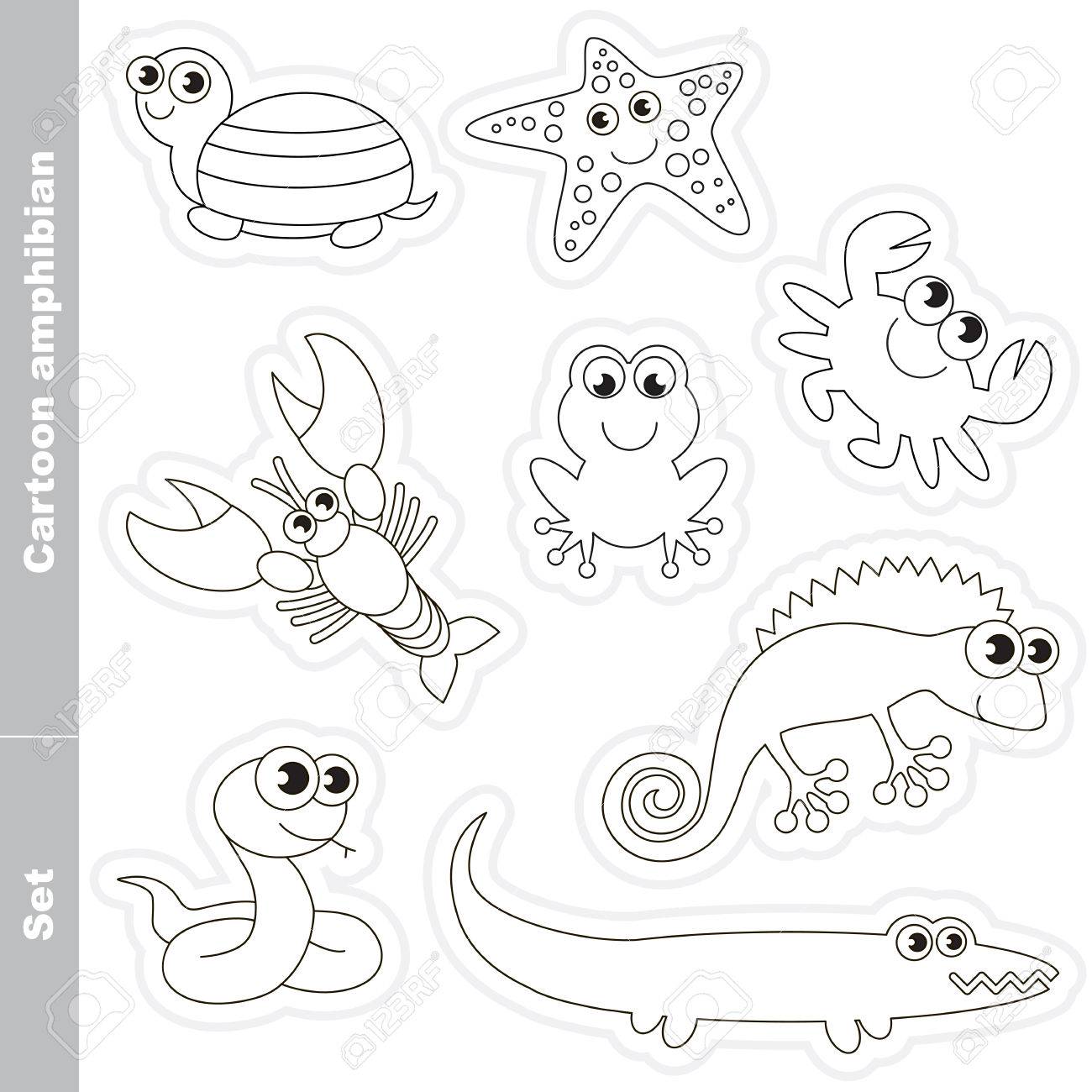 Ensemble Incolore Amphibian Dans Le Vecteur Sous Animaux Aquatiques Et Les Amphibiens Livre A Colorier Pour Les Enfants Clip Art Libres De Droits Vecteurs Et Illustration Image 50448293