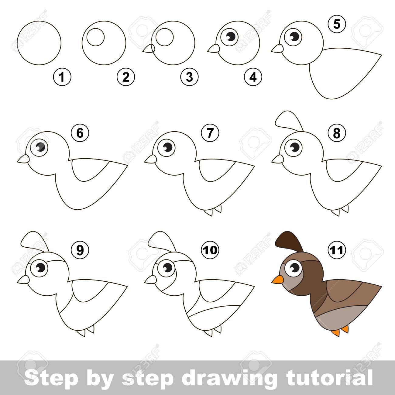 tutorial de dibujo para los niños cómo dibujar la codorniz
