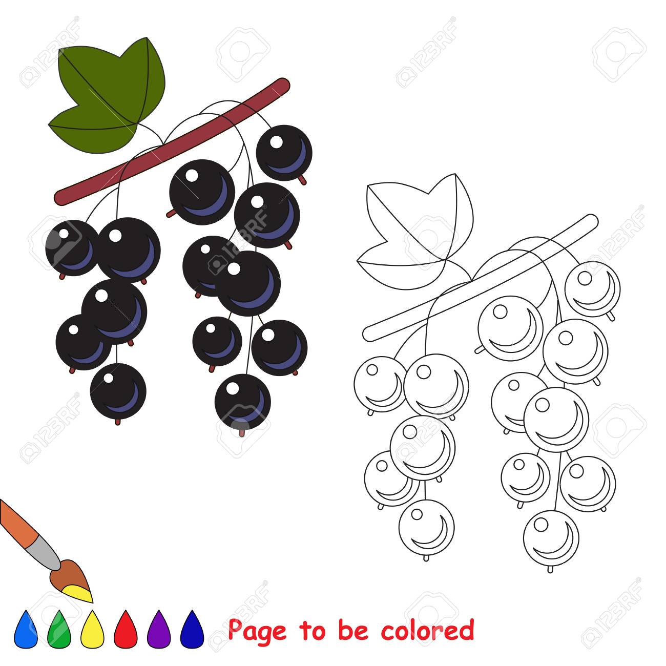 Malvorlage Johannisbeere Coloring and Malvorlagan Malvorlage Johannisbeere Coloring and Malvorlagan