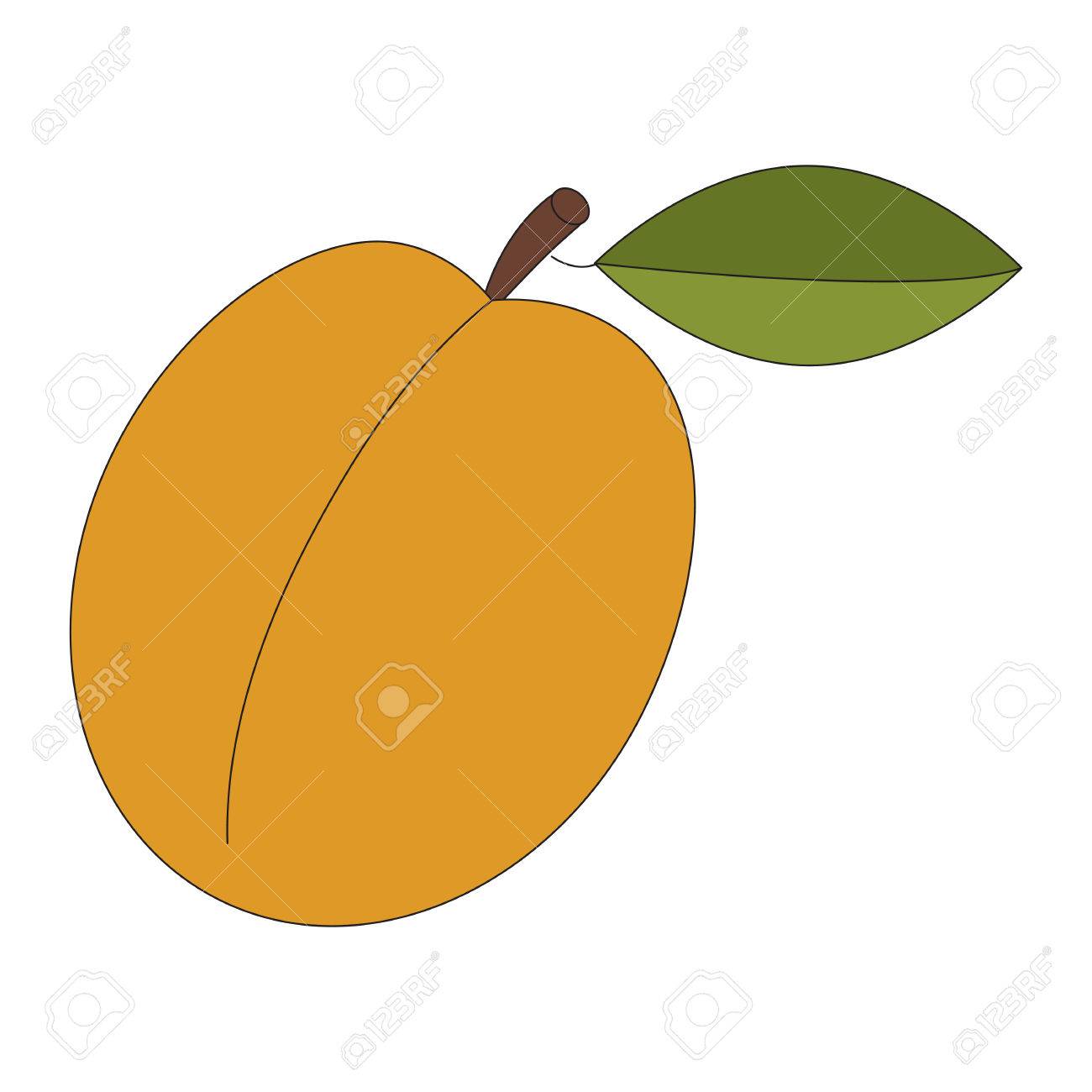 Dessin D Abricot Fruits Soulignes Avec Coup Noir Clip Art Libres De Droits Vecteurs Et Illustration Image