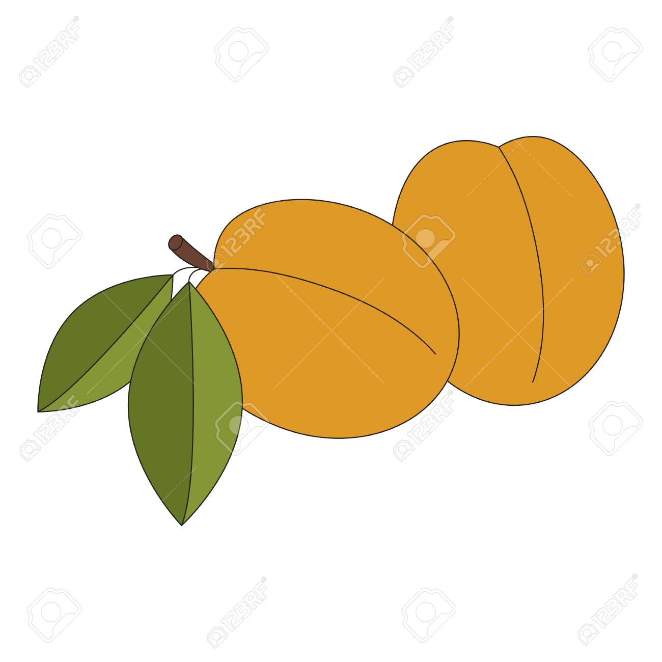 Dessin D Abricot Fruits Soulignes Avec Coup Noir Clip Art Libres De Droits Vecteurs Et Illustration Image