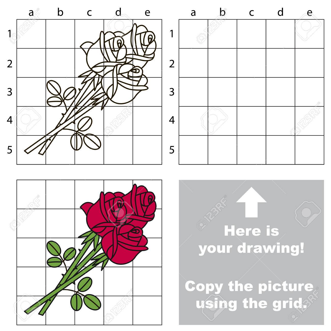copy the picture using