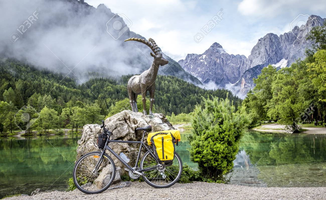 chamois velo