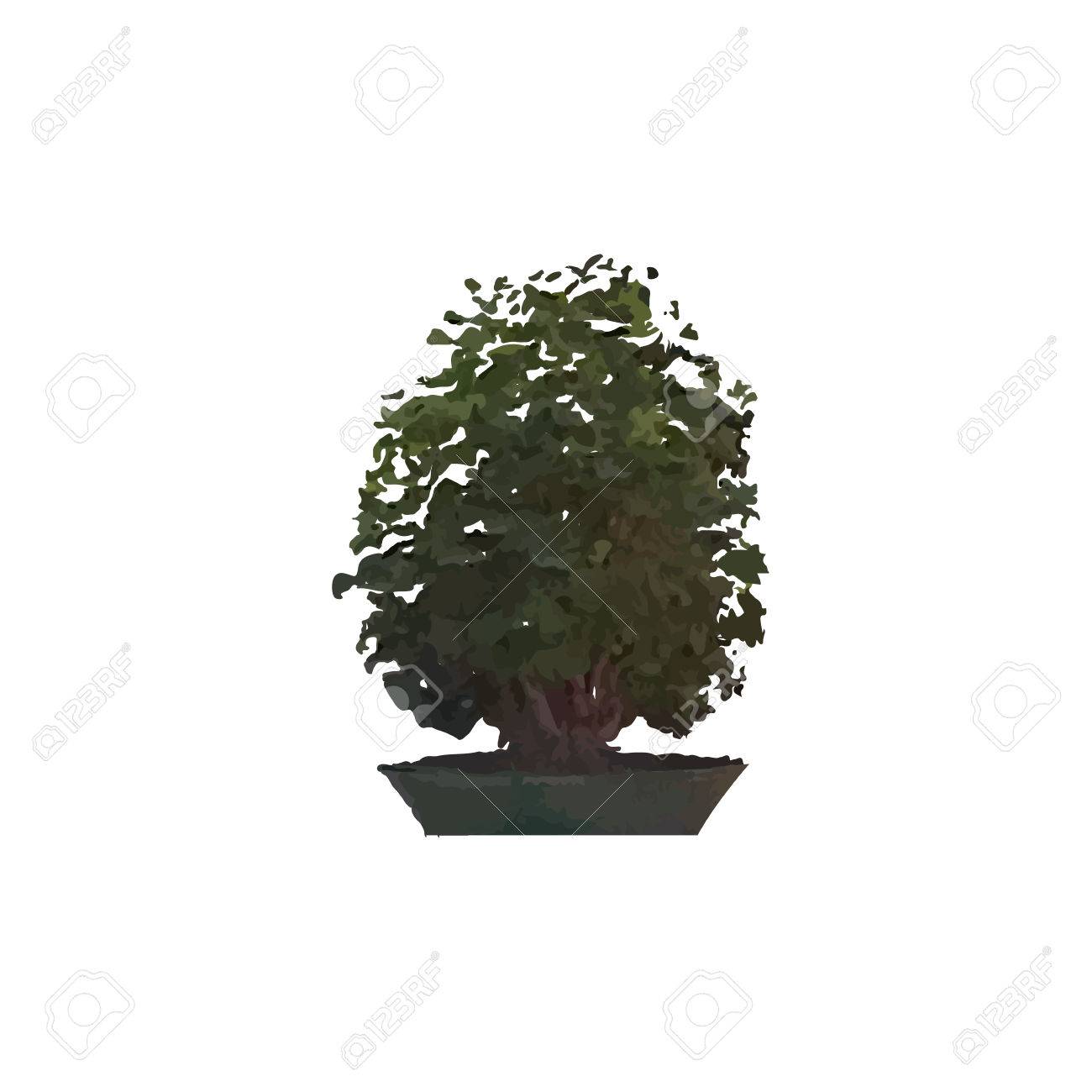 Arbre Miniature Dans Un Pot. Bonsaï D\'intérieur. Clip Art Libres De ... Arbre Miniature Dans Un Pot. Bonsaï D\'intérieur. Clip Art Libres De ...