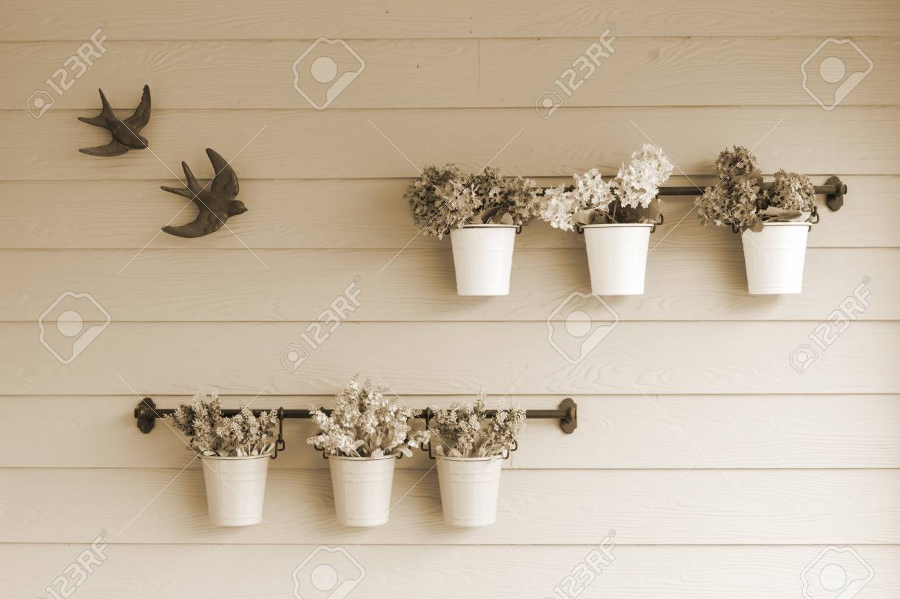 Small Pot Flower On Board Wooden Wall Sepia Style Stock Photo Picture And Royalty Free Image Image