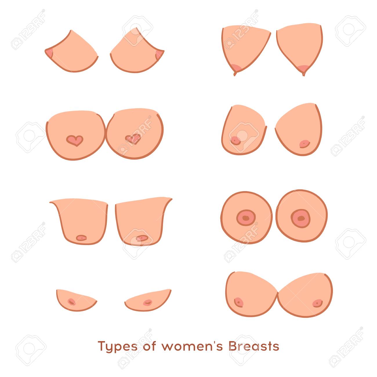 a womens breasts A womens breasts