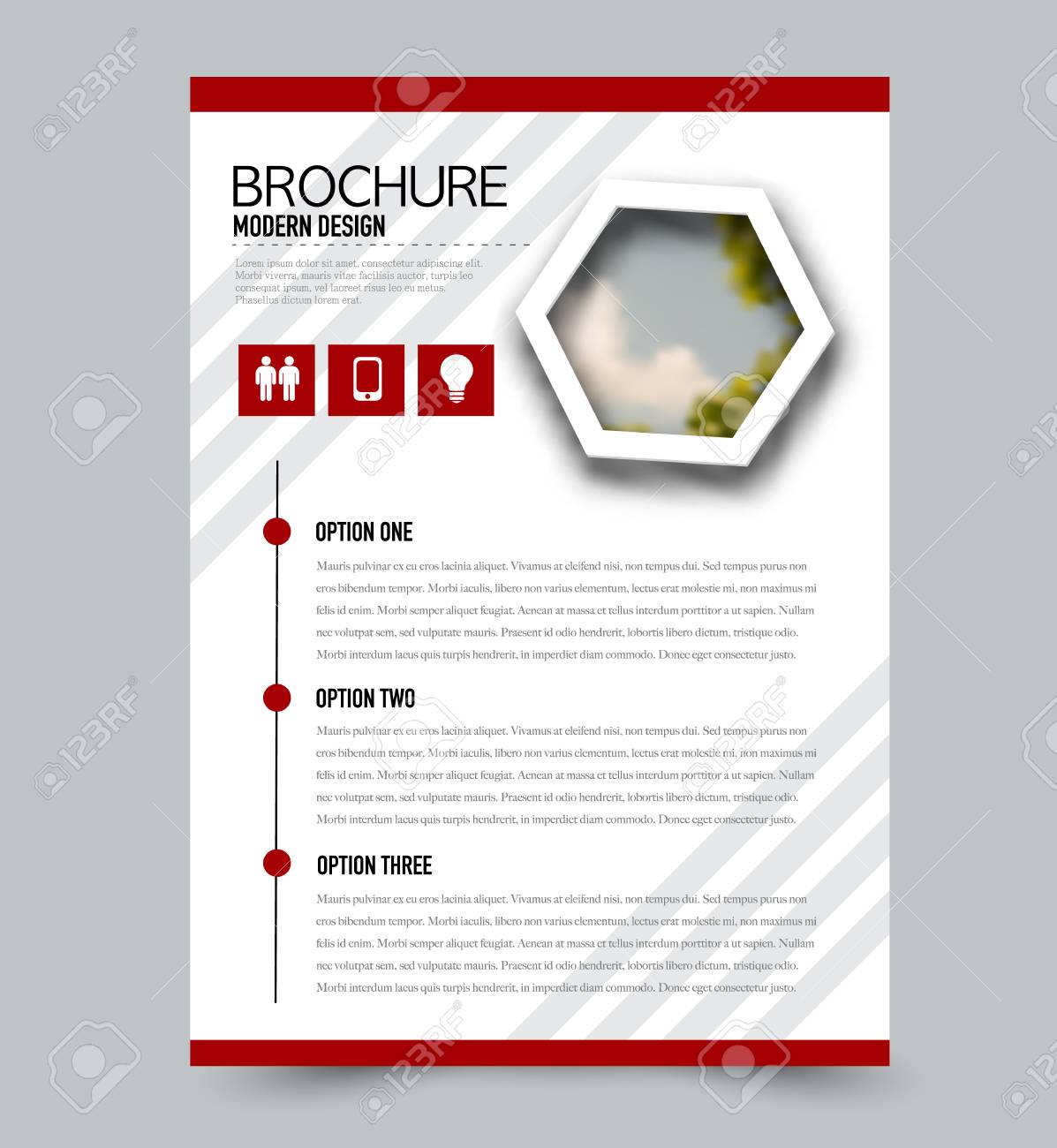 flyer template brochure layout annual report cover or print sample brochure layout