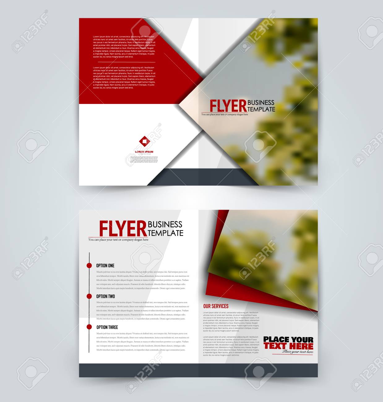 abstract flyer design background brochure template can be used stem flyer template