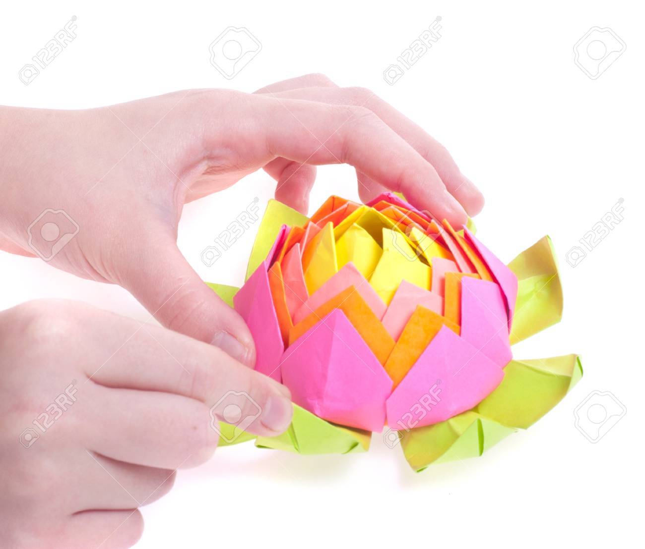 2 つの手で折り紙蓮の花の図 の写真素材 画像素材 Image 2 つの手で折り紙蓮の花の図 の写真素材 画像素材 Image