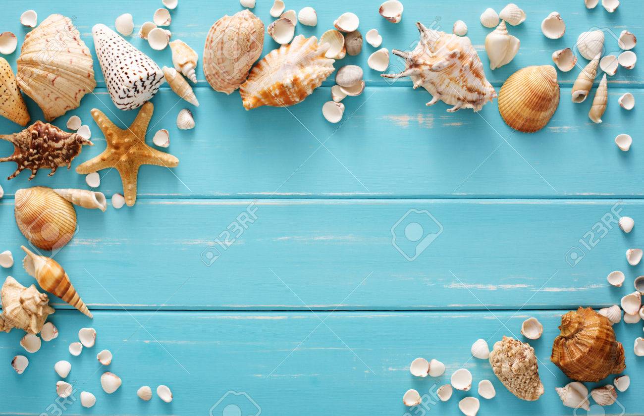 blue seashell wallpaper