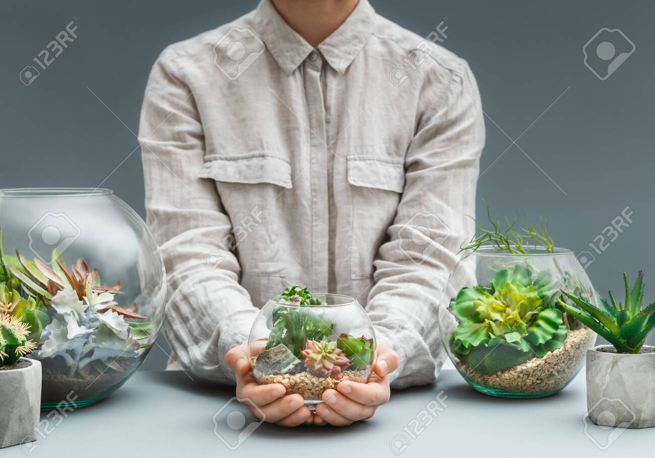 Womans Hands Holding Mini Succulent Garden In Glass Florarium