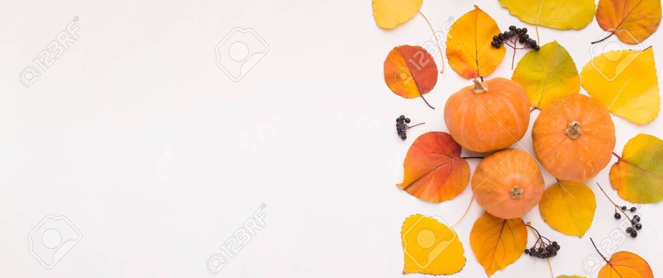 Autumn Foliage With Pumpkin Creating Frame On White Background