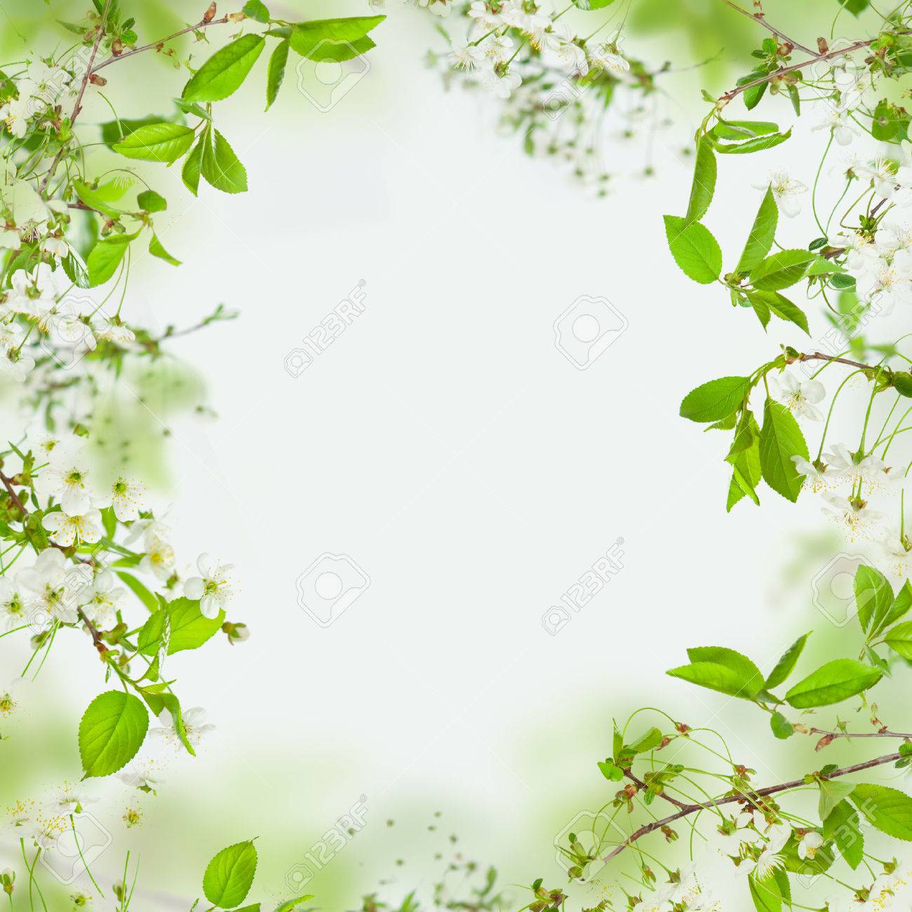 Spring Nature Background, Frame Of Flowers Green Leaves Stock Photo, Picture And Free Image. Image