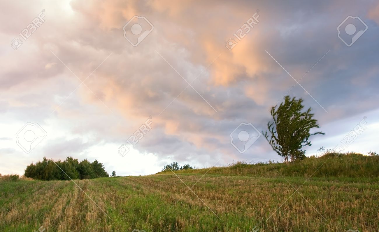 Overcast Sky Overcast Sky