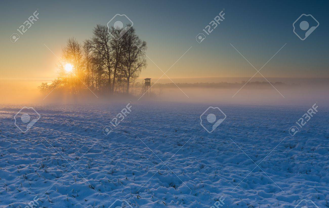 Beautiful winter sunrise or sunset landscape. Sun over agricultural field. - 38510659 Beautiful winter sunrise or sunset landscape. Sun over agricultural field. - 38510659