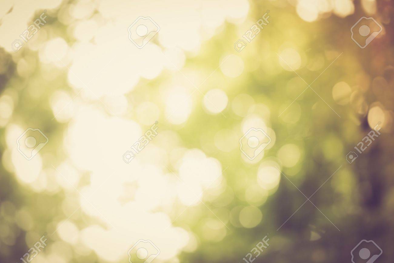 Vintage photo of natural abstract background of defocused forest with bokeh effect. - 44442939 Vintage photo of natural abstract background of defocused forest with bokeh effect. - 44442939