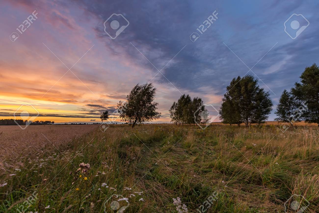草原や野原の上に美しい壮大な夕日の空 風景の上に夕焼け空 の写真素材 画像素材 Image