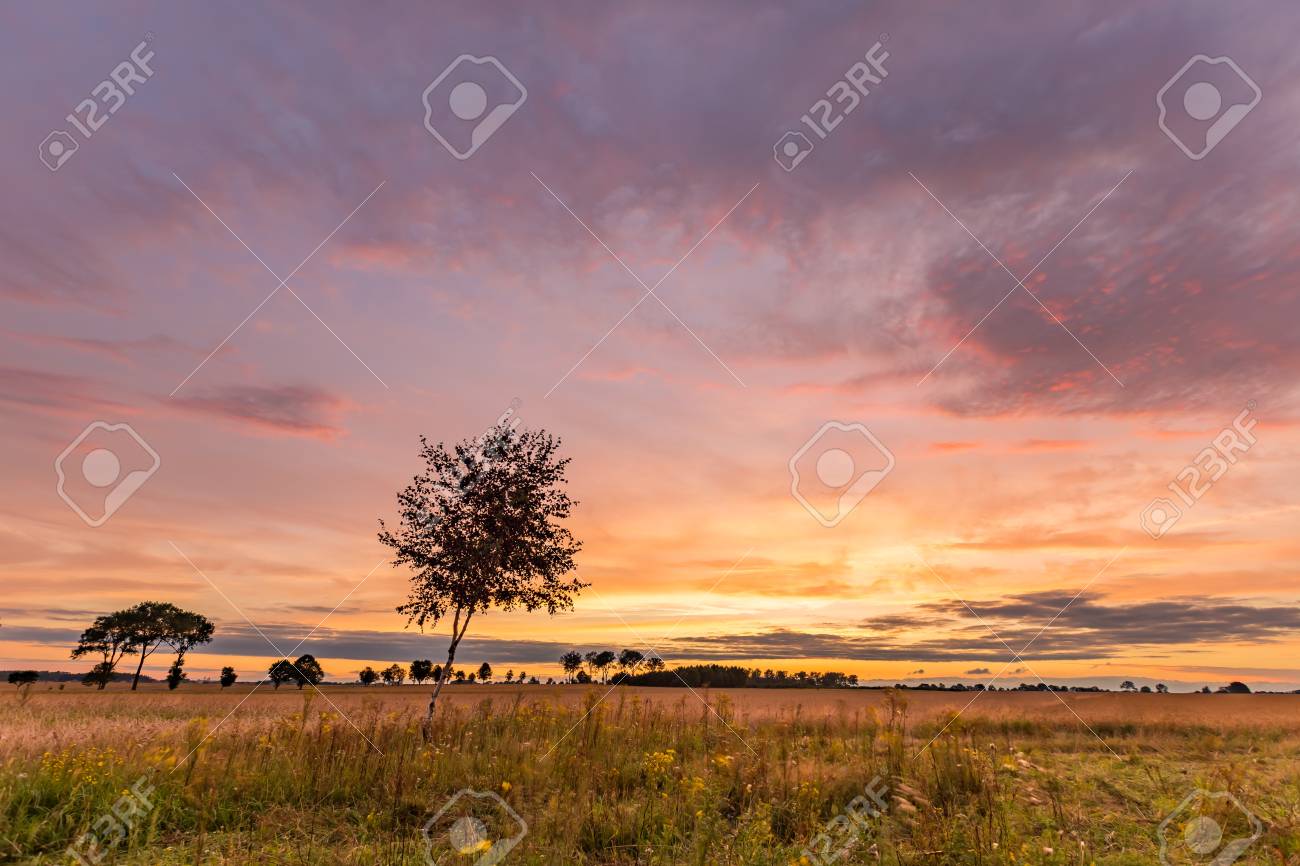 草原や野原の上に美しい壮大な夕日の空 風景の上に夕焼け空 の写真素材 画像素材 Image