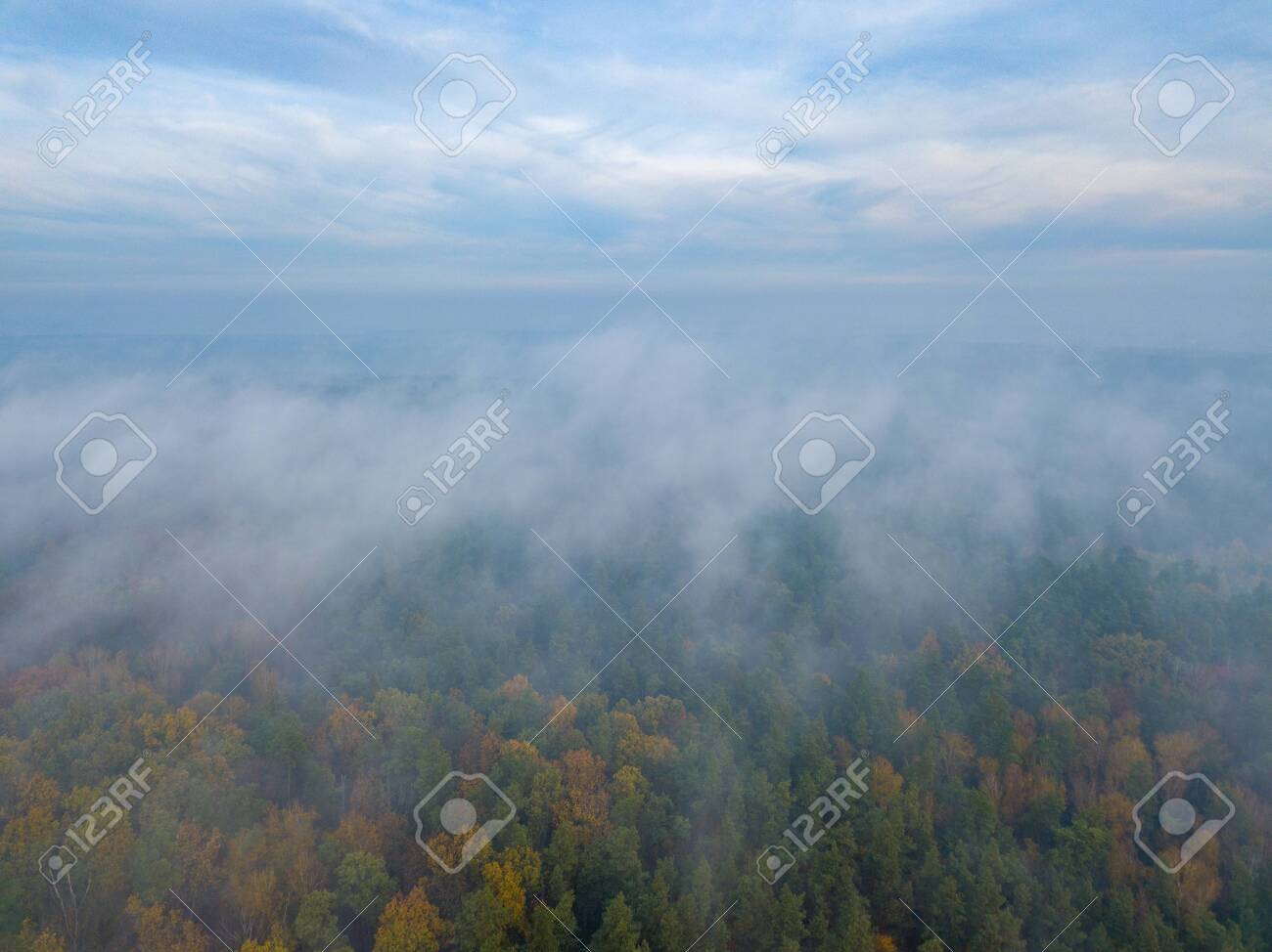 Beautiful Misty Forest Landscape Photographed From Drone Stock Photo Picture And Royalty Free Image Image