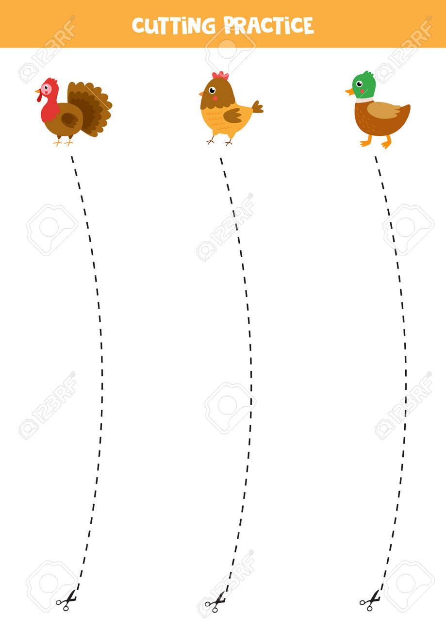 Cutting Practice For Preschool Kids. Cut By Dashed Line. Farm Birds.  Клипарты, SVG, векторы, и Набор Иллюстраций Без Оплаты Отчислений. Image  169813146