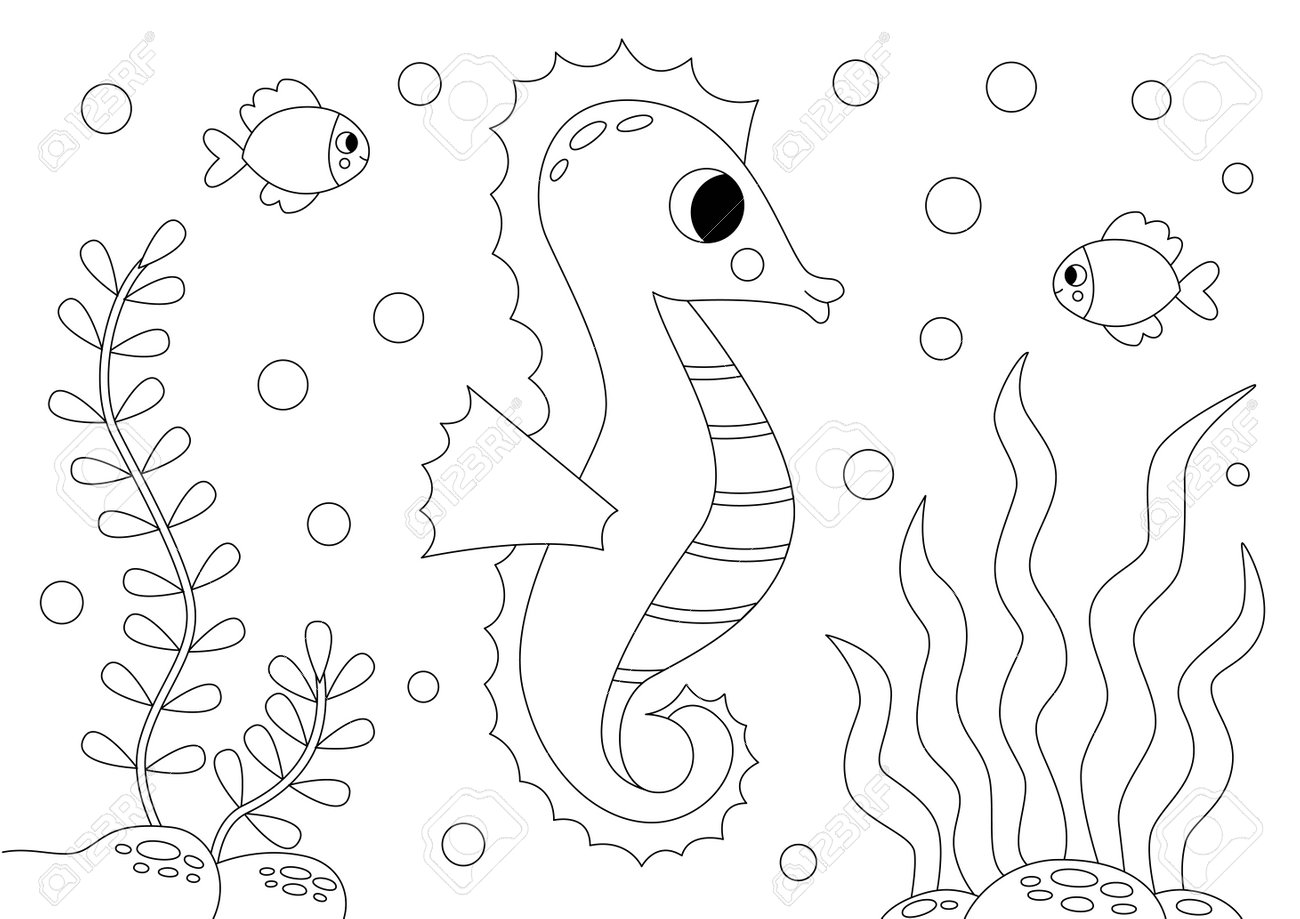 Coloring Page For Kids. Cute Seahorse Underwater. Royalty Free SVG,  Cliparts, Vectors, and Stock Illustration. Image 226336164., image size:1300x919