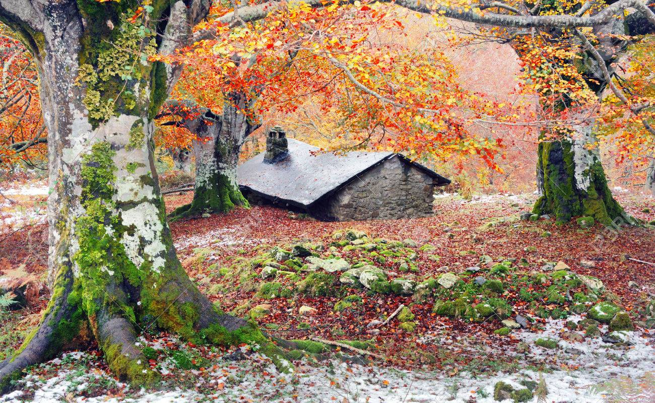 Maison Dans La Forêt En Automne Banque D'Images Et Photos Libres De Droits.  Image 25902099.