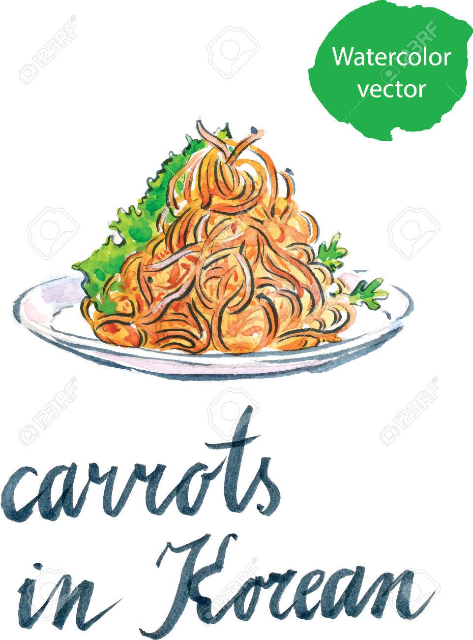 韓国語でレタス 手描きの水彩画人参ベクトル イラスト のイラスト素材 ベクタ Image
