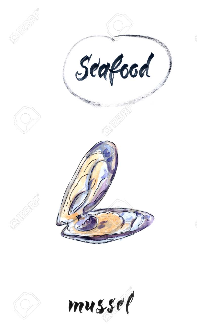 ムール貝 アサリ シーフード 手描き 水彩イラスト の写真素材 画像素材 Image