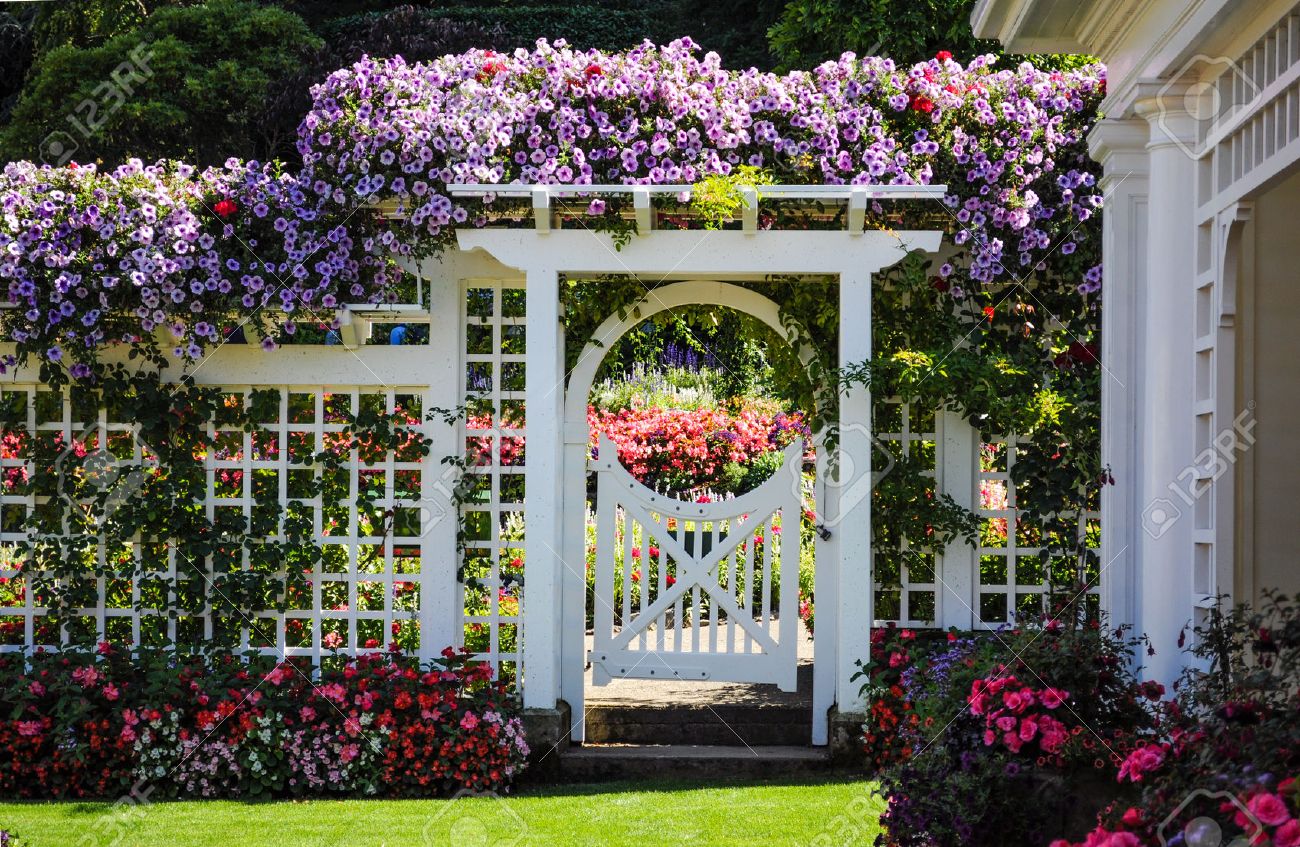 Botanical garden white fence with gate and blooming flowers - 51545898 Botanical garden white fence with gate and blooming flowers - 51545898